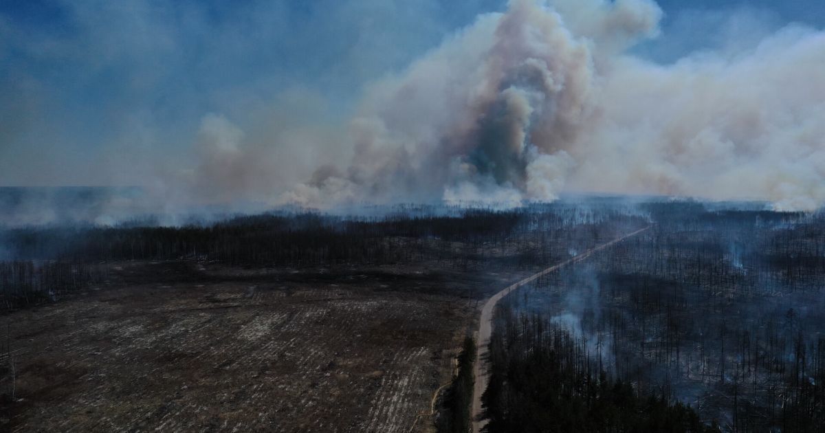 Пожар в Чернобыльской зоне: в четырех очагах продолжается тление пеньков и торфяников