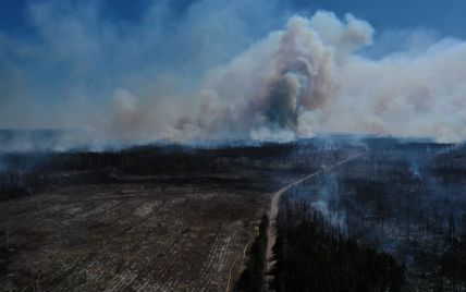 Пожежа у Чорнобильській зоні: у чотирьох осередках триває тління пеньків та торф'яників