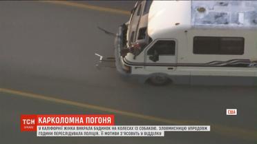 Гонитва з поліцією: американка викрала пересувний будинок із собакою
