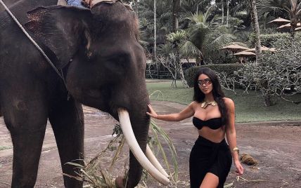 Ким Кардашян показала, как слон "обнял" ее ягодицы