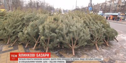 В Україні запрацювали перші ялинкові базари