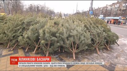 В Україні запрацювали перші ялинкові базари