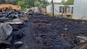 Налякані та в сильному стресі: у притулку «Сіріус» шукають собак, які розбіглися під час пожежі