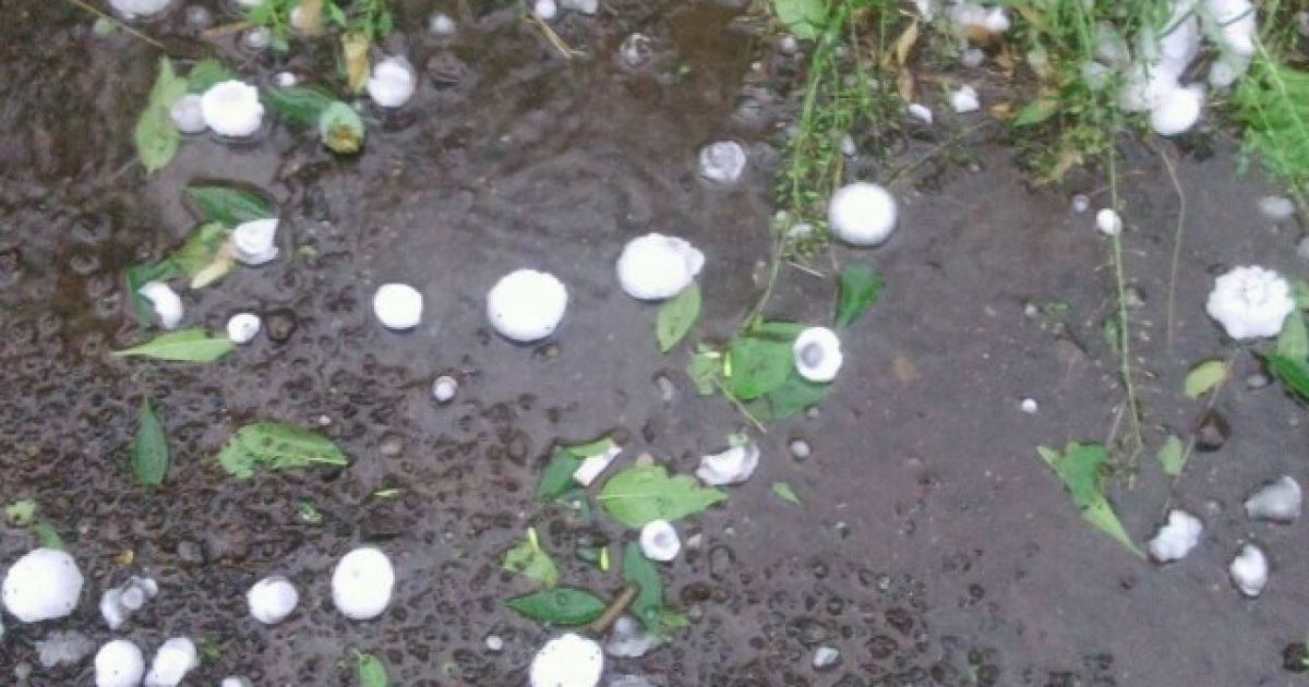 Град, як кулак, та сильний вітер. Негода боляче вдарила по Західній Україні