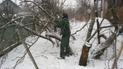 Обрізка дерев