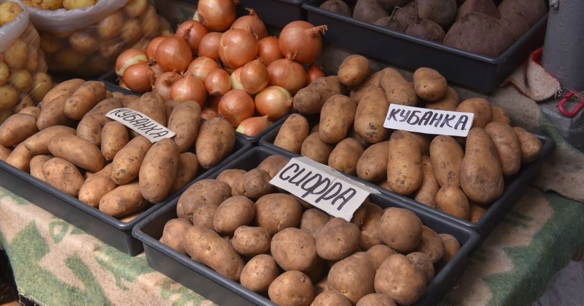 В Україні здешевшала картопля: яка вартість