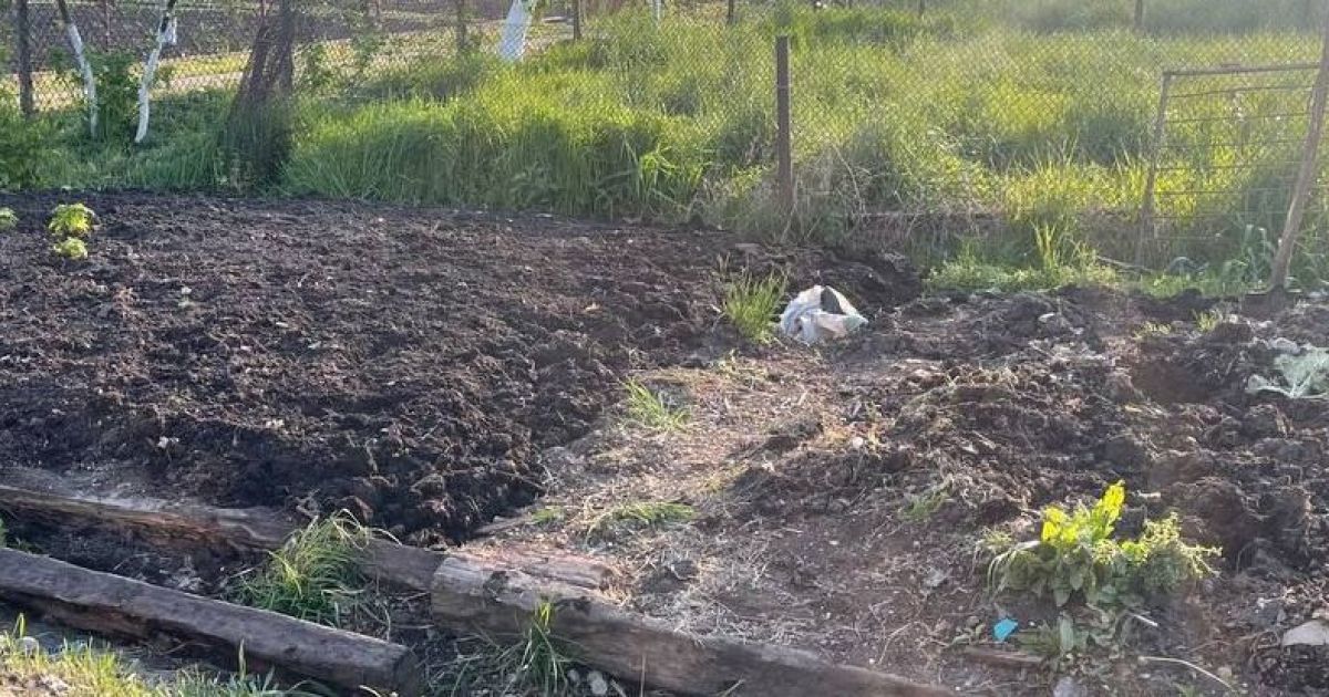 Женщина возилась на огороде и натолкнулась на тело мужчины