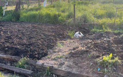 На Львівщині чоловік вбив односельчанина, а його мати на городі випадково розкопала заховане тіло 