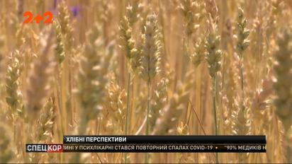 Україна побила рекорди експорту зернових