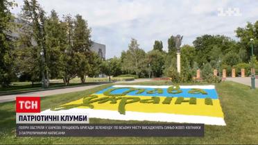 В Харькове высаживают патриотические цветники