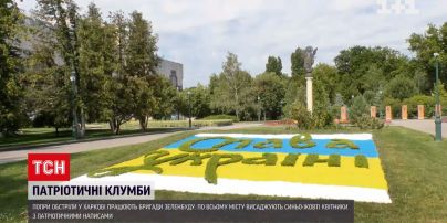 У Харкові висаджують патріотичні квітники