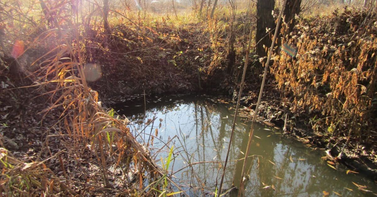 Під Києвом річку Стугну забруднено викидами пічних матеріалів: фото / © Полиция Киевской области