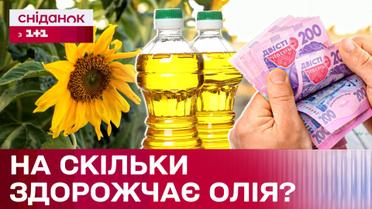 Последствия неурожая и войны: на сколько вырастет цена на подсолнечное масло?
