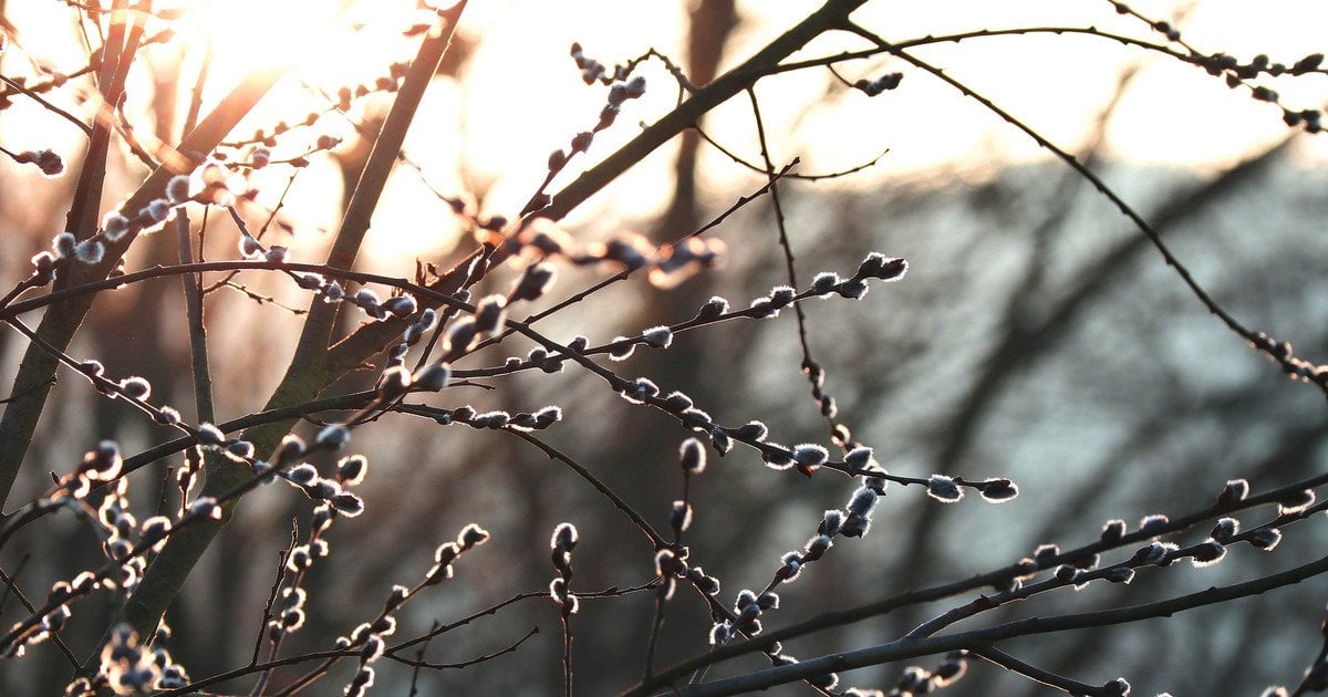 Погодные условия изменятся