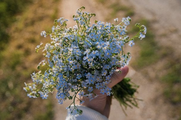 День ангела 17 травня — душевні привітання в прозі / © pexels.com