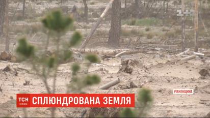 Без животных и птиц: тысячи гектаров земли, где работали копатели янтаря, превратились в пустыни