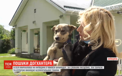У селі в Київській області з'явився шкуродер, який труїть та відстрілює безпритульних тварин