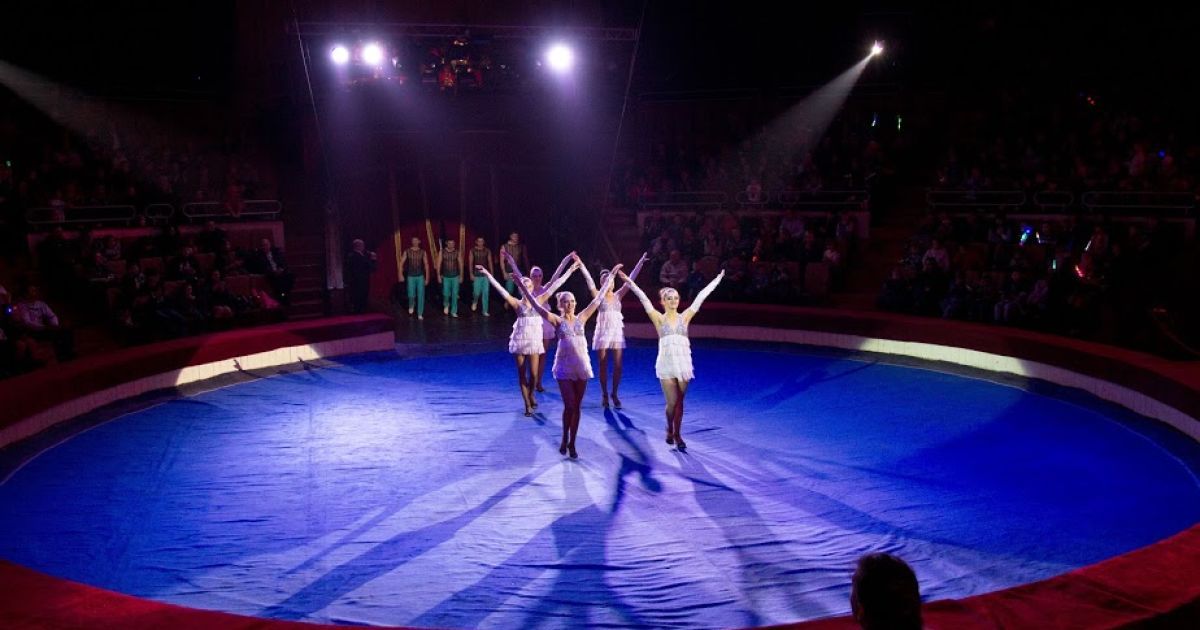 НАЗК має претензії до директора цирку Дніпра