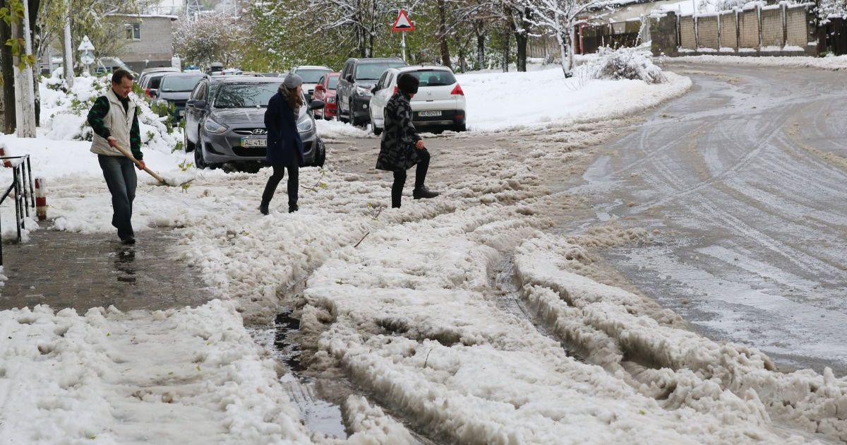 На Днепропетровщине поваленным деревом убило пожилую женщину