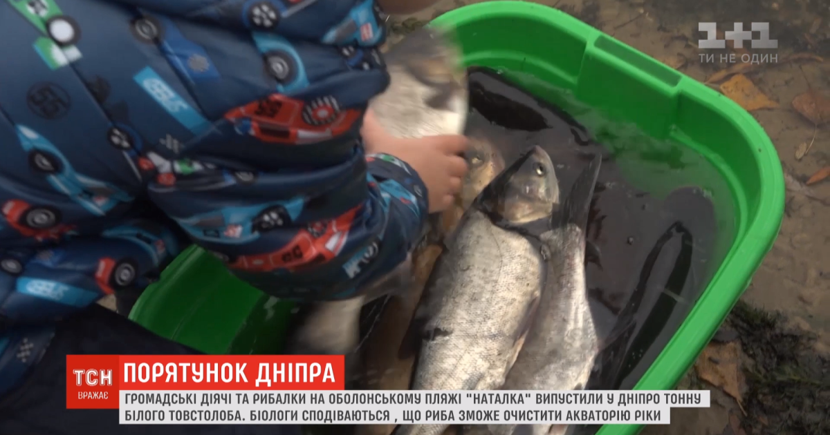 Активісти поповнили київське водоймище тонною риби