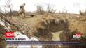 Новости с фронта: при каких обстоятельствах погибли украинские военные вблизи Шумов