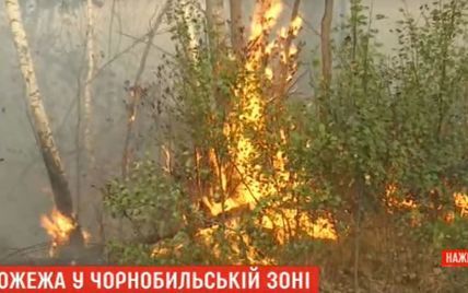 Пожар в Чернобыльской зоне: из-за сильного ветра вспыхивают все новые очаги