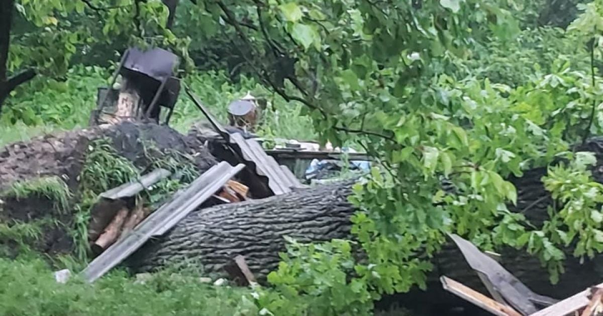 Во время урагана во Львовской области погибла женщина