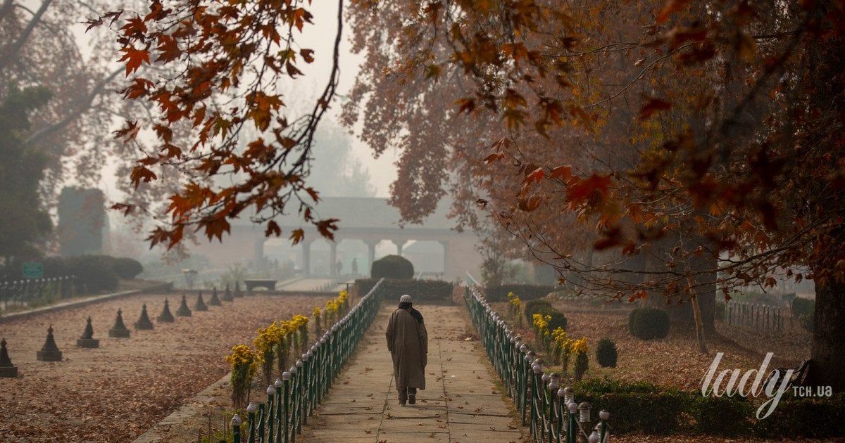 Прогноз погоды