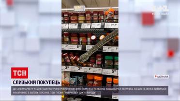 Новости мира: питон на полке - в Австралии 3-метровая змея заползла в супермаркет