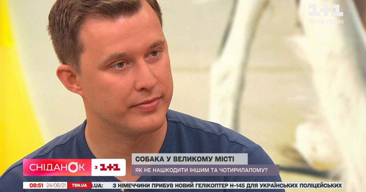 У Києві хлопчик без причини травмував собаку каменем: кінолог розповів, як захистити улюбленців