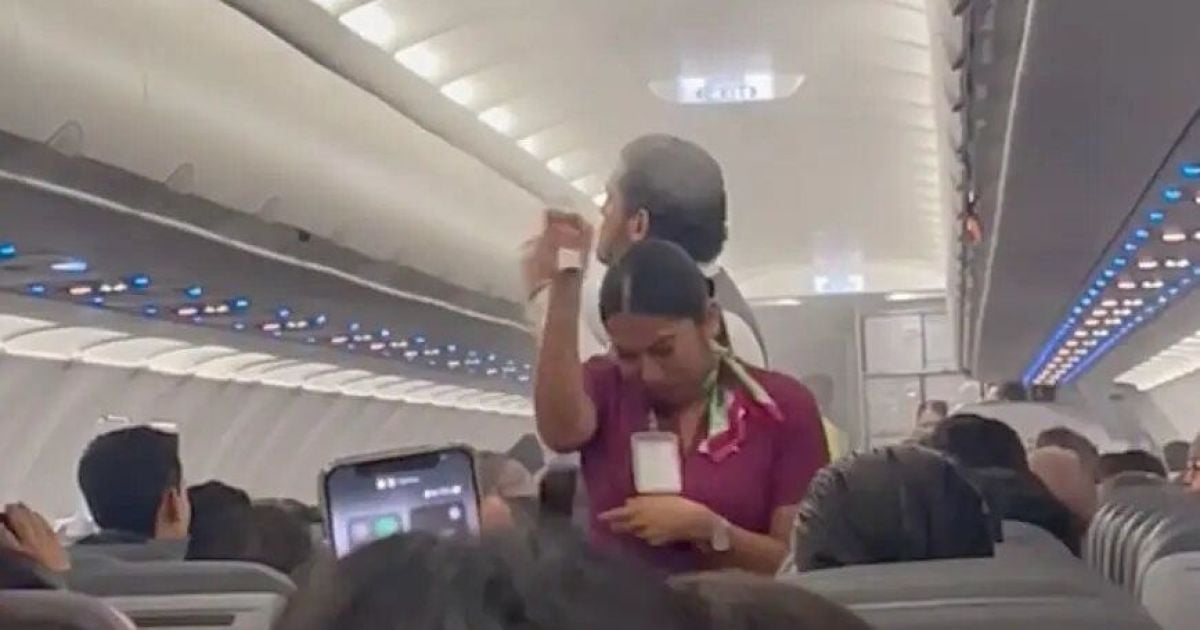 Рой комаров атаковал салон самолета