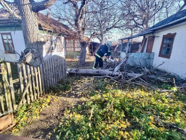 Последствия непогоды в Киевской области