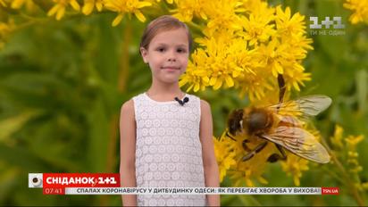 Як провести вихідні цікаво та огляд погоди від Фросі на 18-19 липня