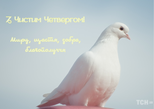 З Чистим четвергом: картинки / © ТСН.ua