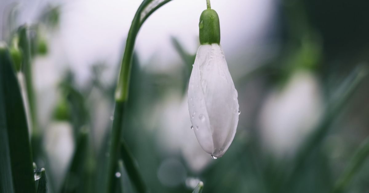Народные приметы, обряды и обычаи 16 марта