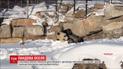 У Фінляндії вперше показали двох панденят з Китаю