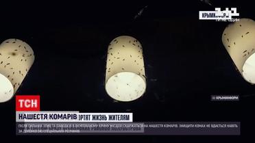 Новини України: через сильні зливи в Криму почалося нашестя комарів