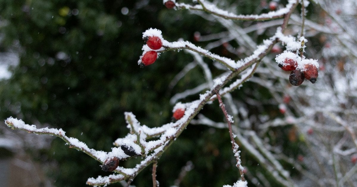 Який сьогодні, 11 січня, день ангела