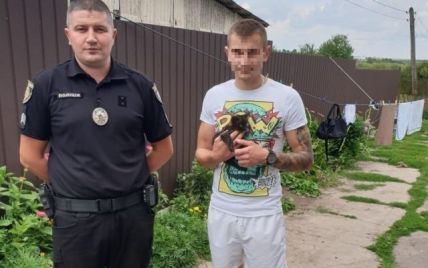 Закрив у банці живе кошеня: 20-річному хлопцеві з Львівської області загрожує 3 роки в'язниці за "злий жарт"
