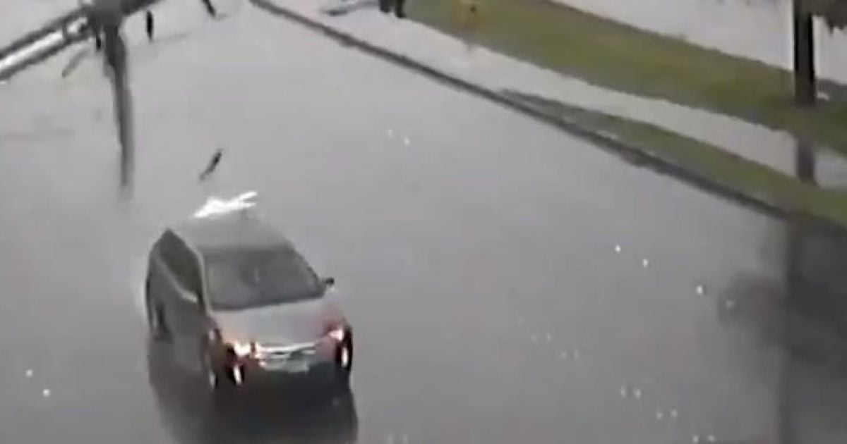 Моторошне відео: у США більше десятка електростовпів впали на дорогу і розтрощили машину, яка їхала повз