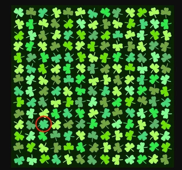 Оптична ілюзія: рішення