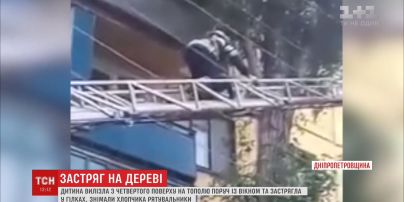 В Кривом Роге ребенок запутался в ветвях на высоте четвертого этажа