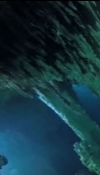 Мексиканские дайверы случайно нашли 347-километровую подводную пещеру