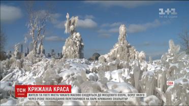 В Чикаго мороз превратил берег озера в парк скульптур
