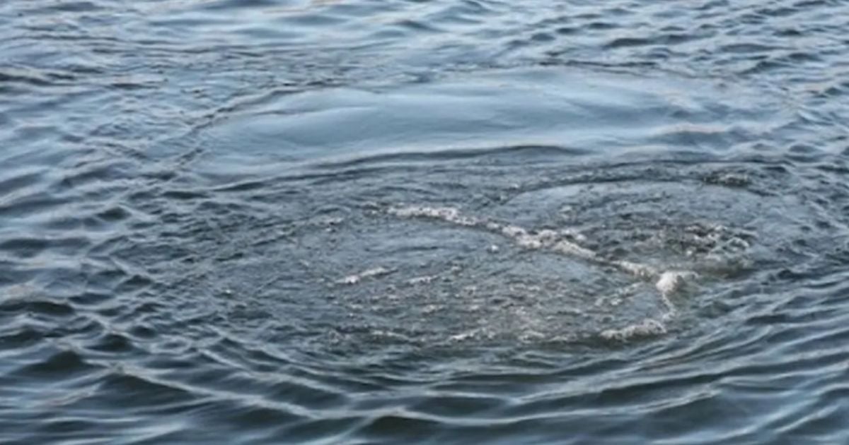 Жінка та її дитина втопилися в озері/ koziatyn.info