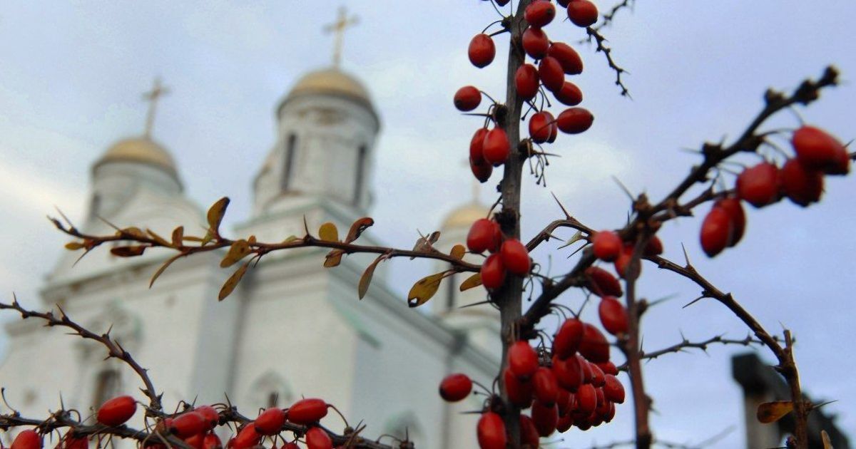 Ілюстрація