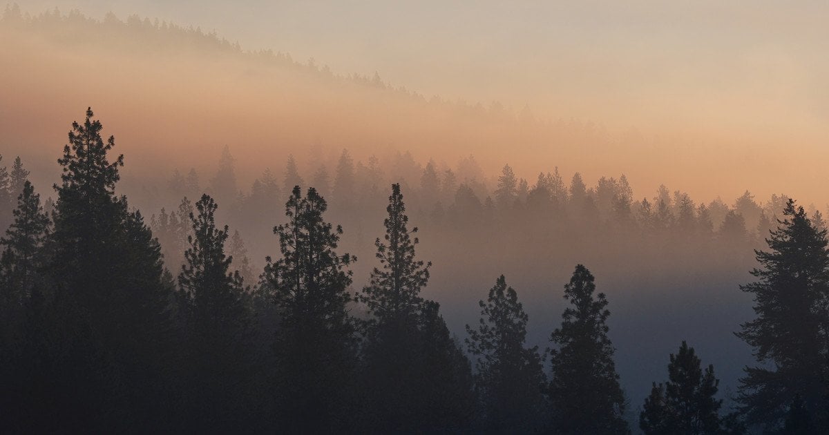 В Україні починається "сезон тиші": за що можуть штрафувати