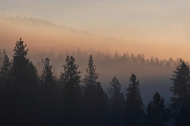 В Україні починається 