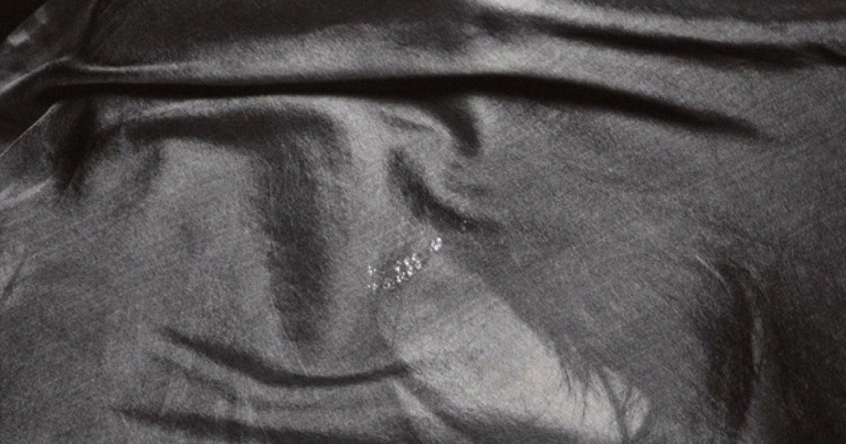 Белуччі знялася у пікантному фотосеті / © luimagazine.fr