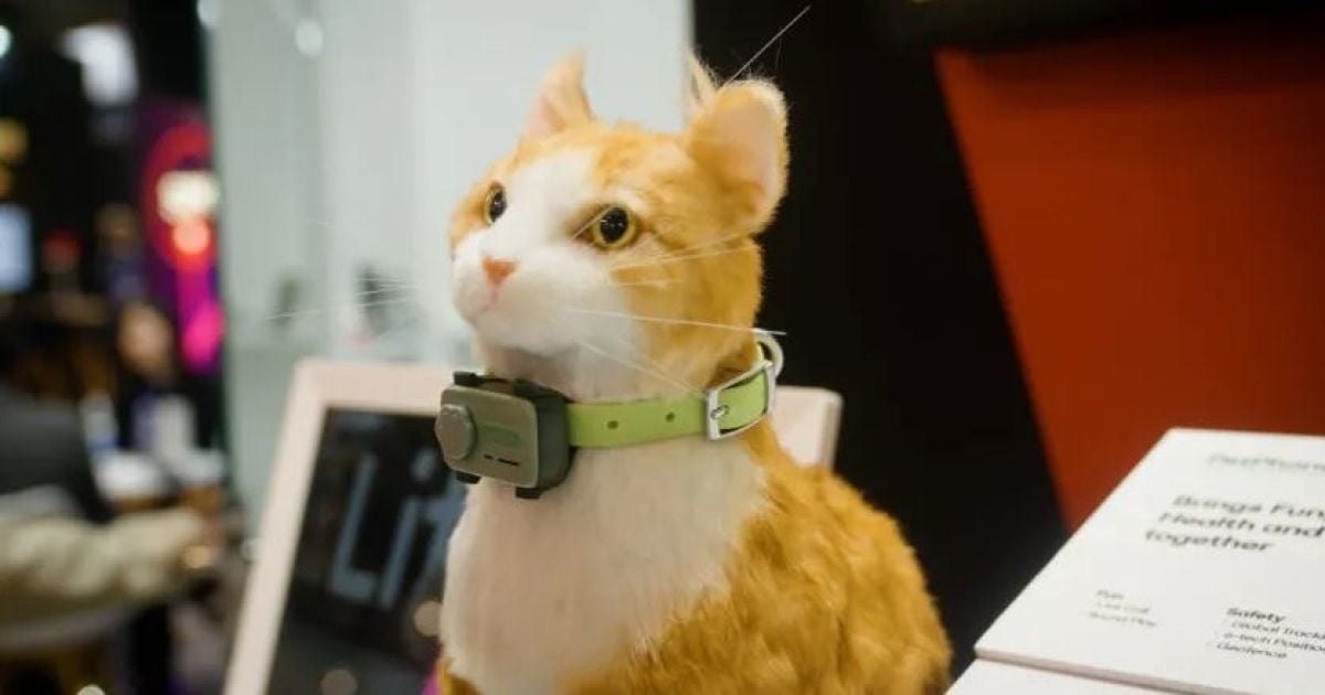 PetPhone / Фото: Android Authority